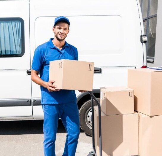 delivery man with box and cart next to van 2024 11 18 20 35 36 utc e1744855489391
